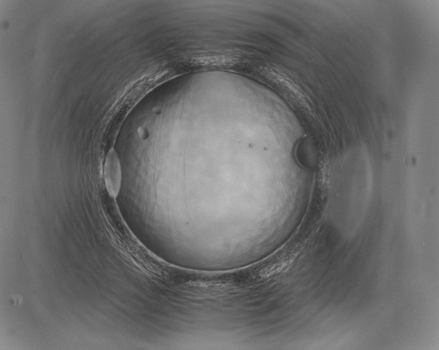 X0000083620733200703051608