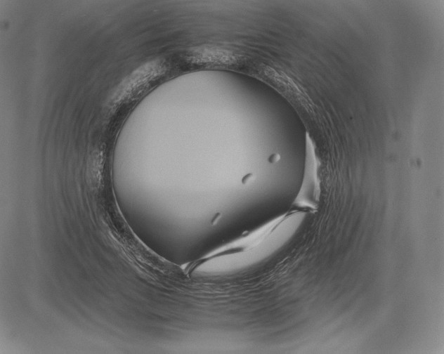 X0000083620735200703051609