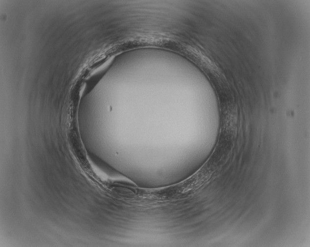 X0000083620736200703051609