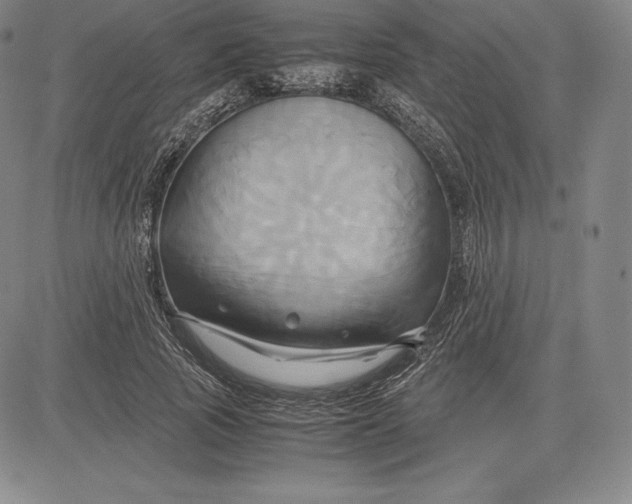 X0000083620737200703051609