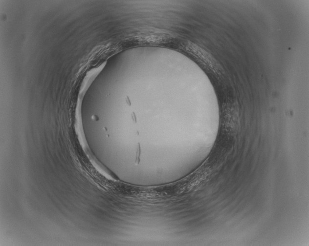 X0000083620738200703051609