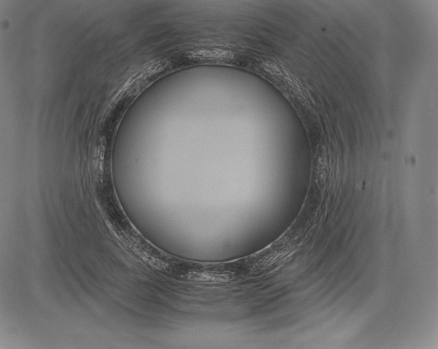 X0000083620739200703051609