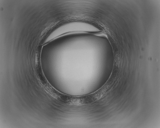 X0000083620740200703051609