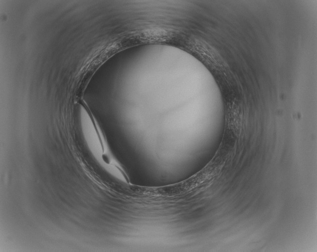 X0000083620742200703051609