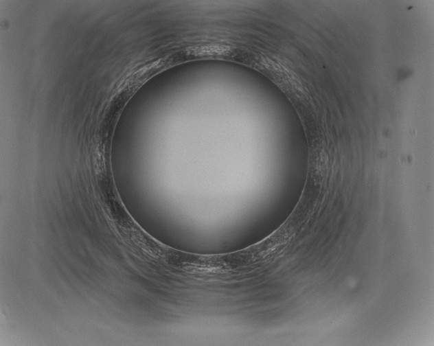 X0000083620743200703051609