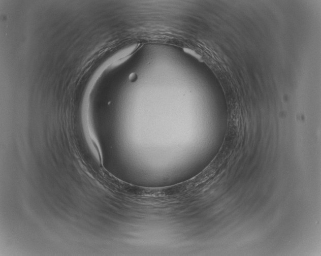 X0000083620744200703051609