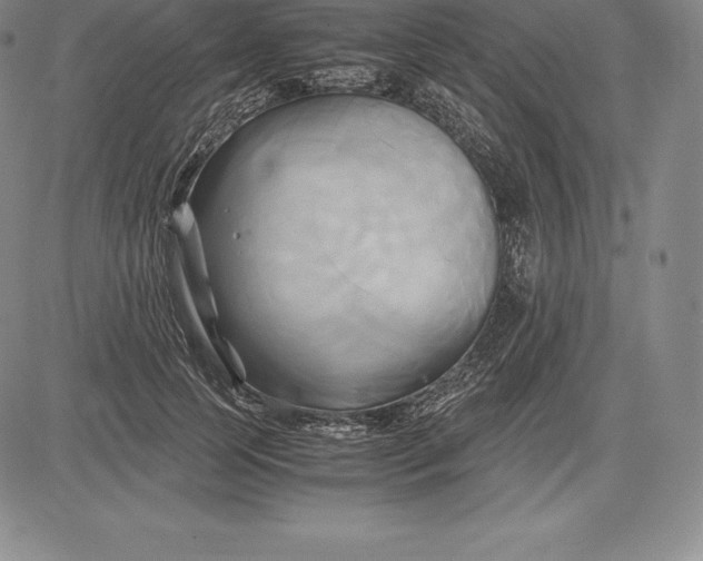 X0000083620745200703051609