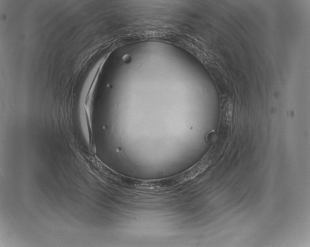 X0000083620746200703051609