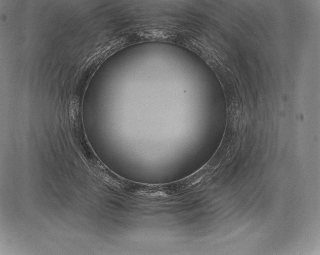 X0000083620747200703051609