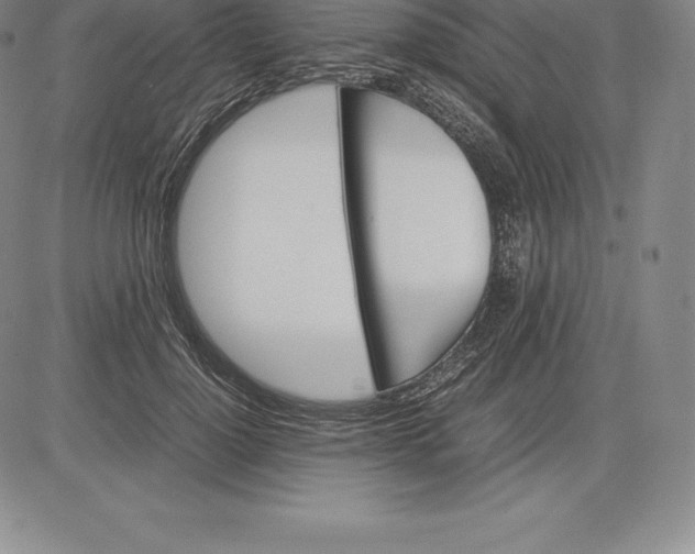 X0000083620748200703051609