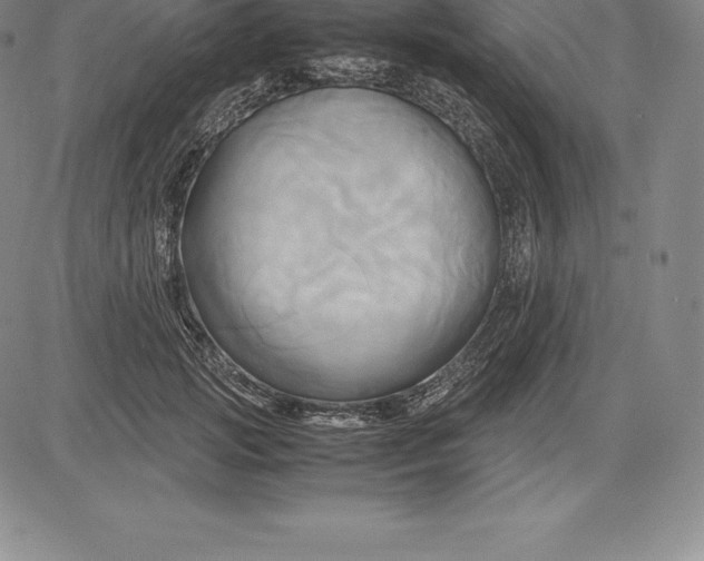 X0000083620749200703051609