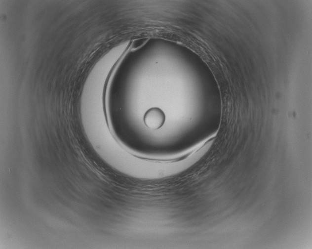 X0000083620750200703051609