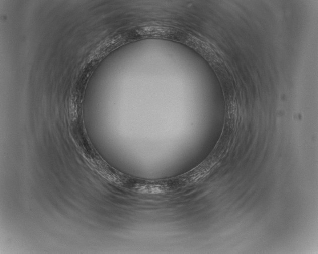 X0000083620751200703051609