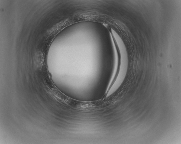 X0000083620752200703051609