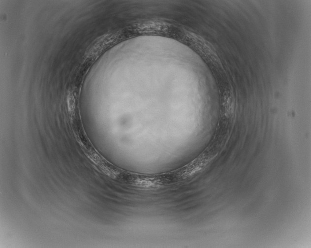 X0000083620753200703051609