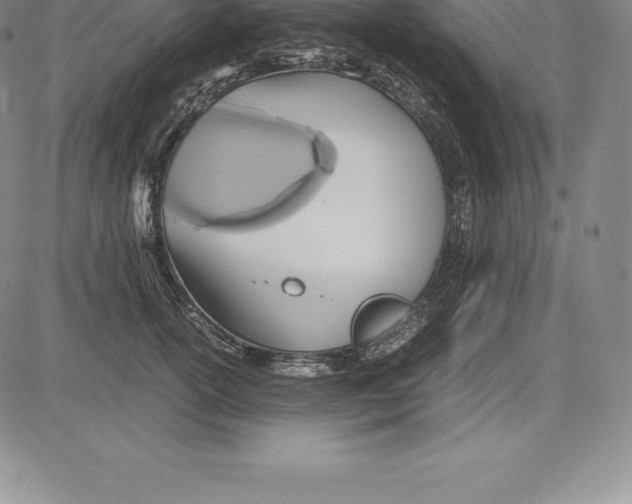 X0000083620754200703051609