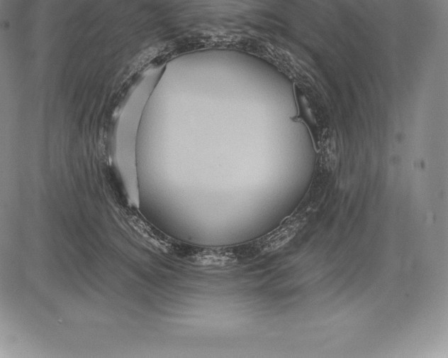 X0000083620756200703051609