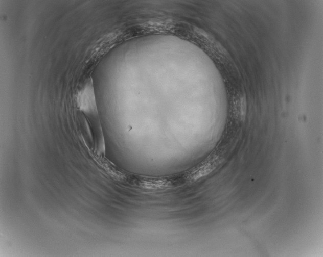 X0000083620757200703051609