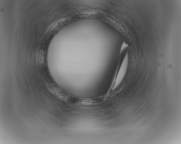 X0000083620758200703051609