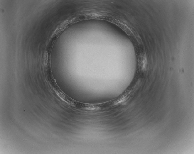 X0000083620760200703051609