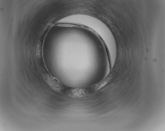 X0000083620762200703051609