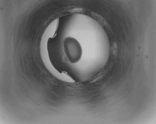 X0000083620763200703051609