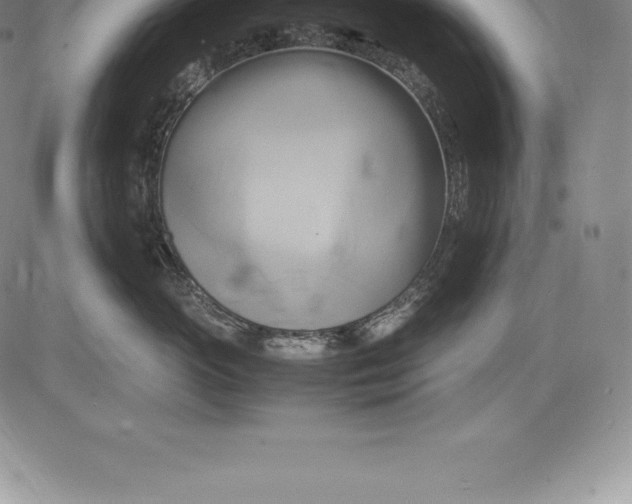 X0000083620765200703051609