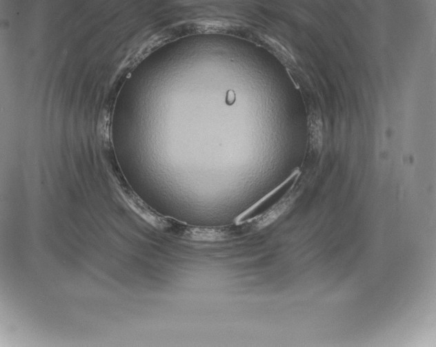 X0000083620766200703051609