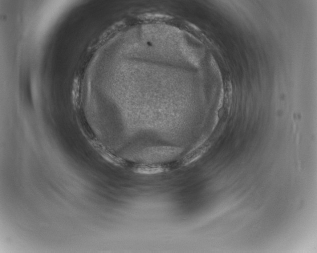 X0000083620767200703051609