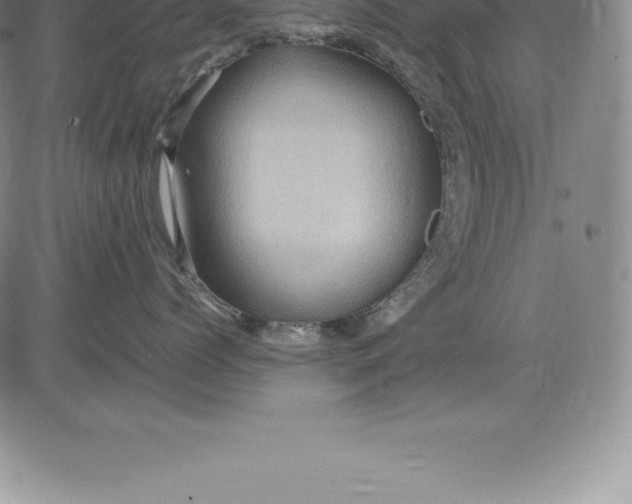 X0000083620768200703051609