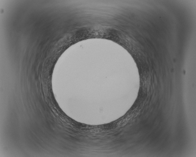 X0000083620769200703051608