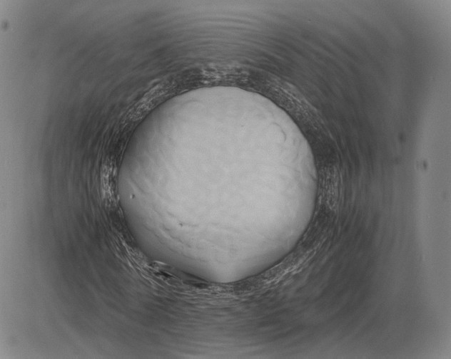 X0000083620770200703051608