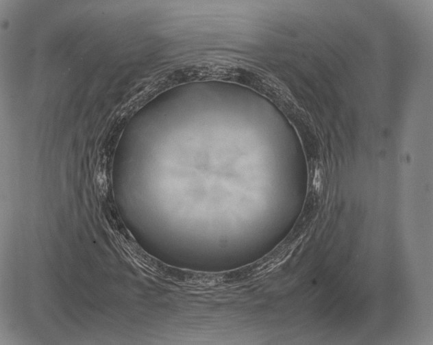 X0000083620771200703051608