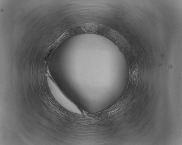 X0000083620772200703051608