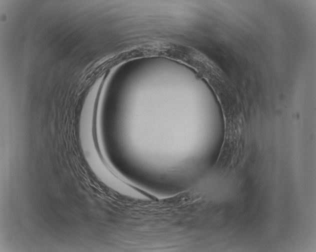 X0000083620773200703051608