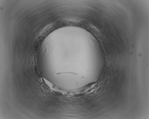 X0000083620774200703051608