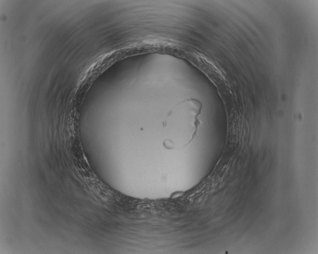 X0000083620776200703051608