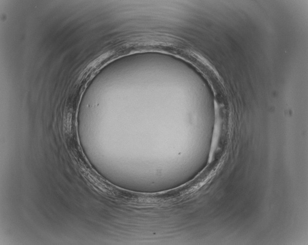 X0000083620777200703051608