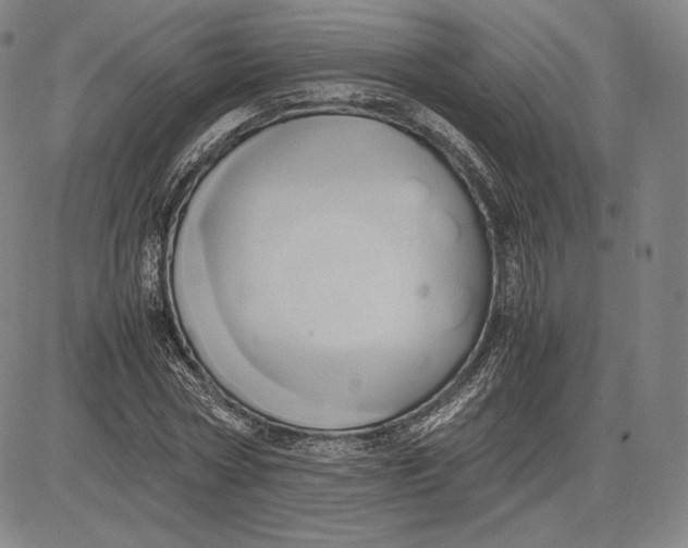 X0000083620778200703051608