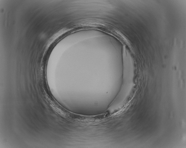 X0000083620779200703051608