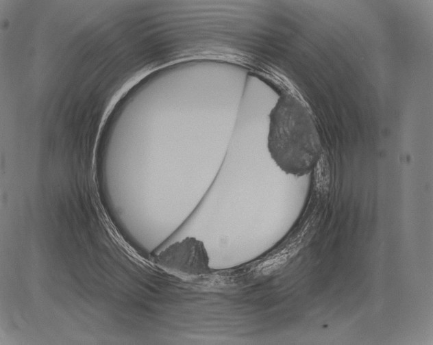 X0000083620780200703051608