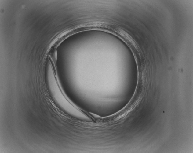 X0000083620781200703051608