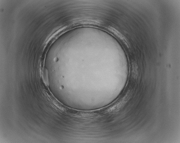 X0000083620782200703051608