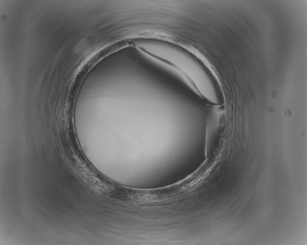 X0000083620783200703051608