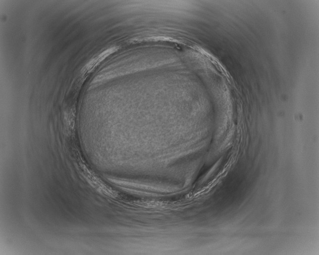 X0000083620785200703051608