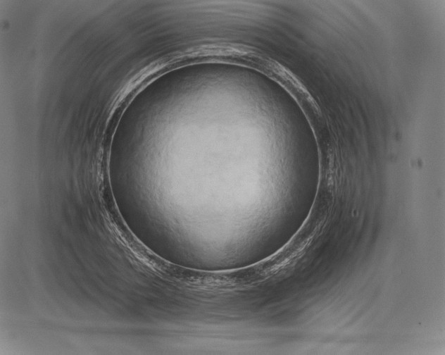 X0000083620786200703051608