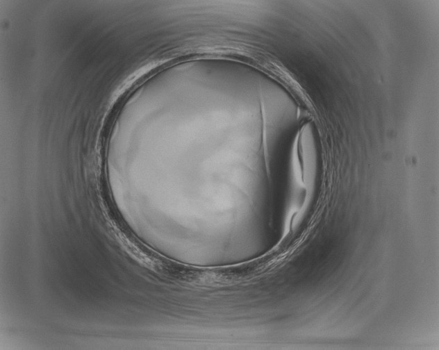 X0000083620787200703051608