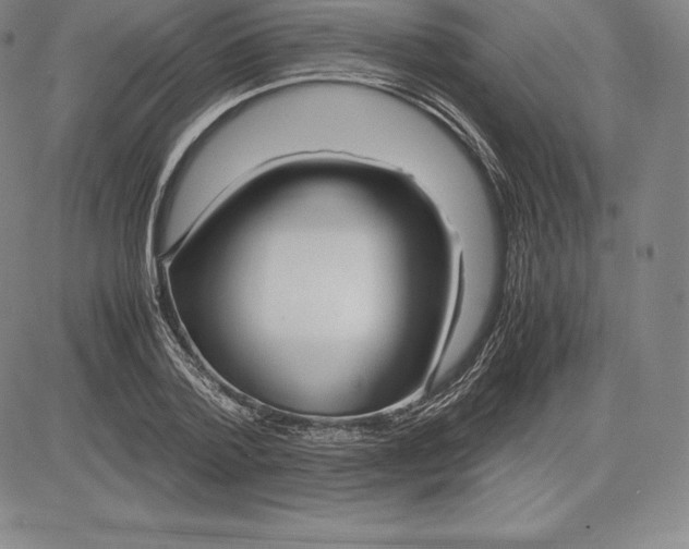 X0000083620788200703051608