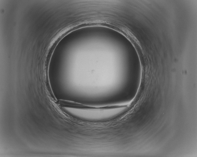 X0000083620789200703051608