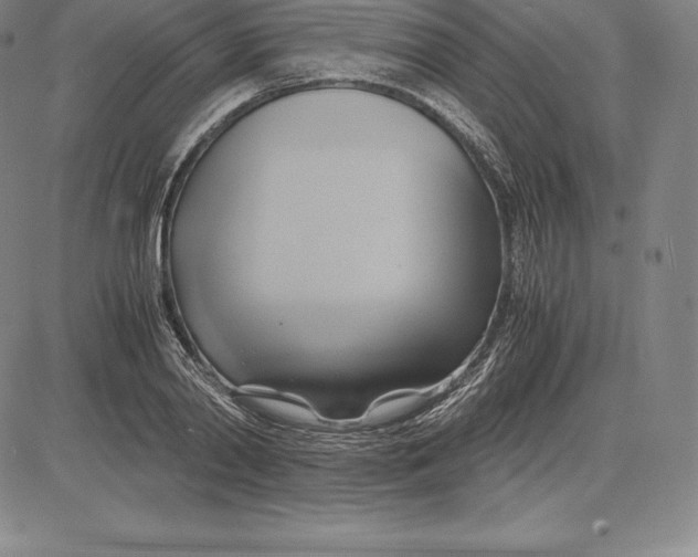 X0000083620790200703051608